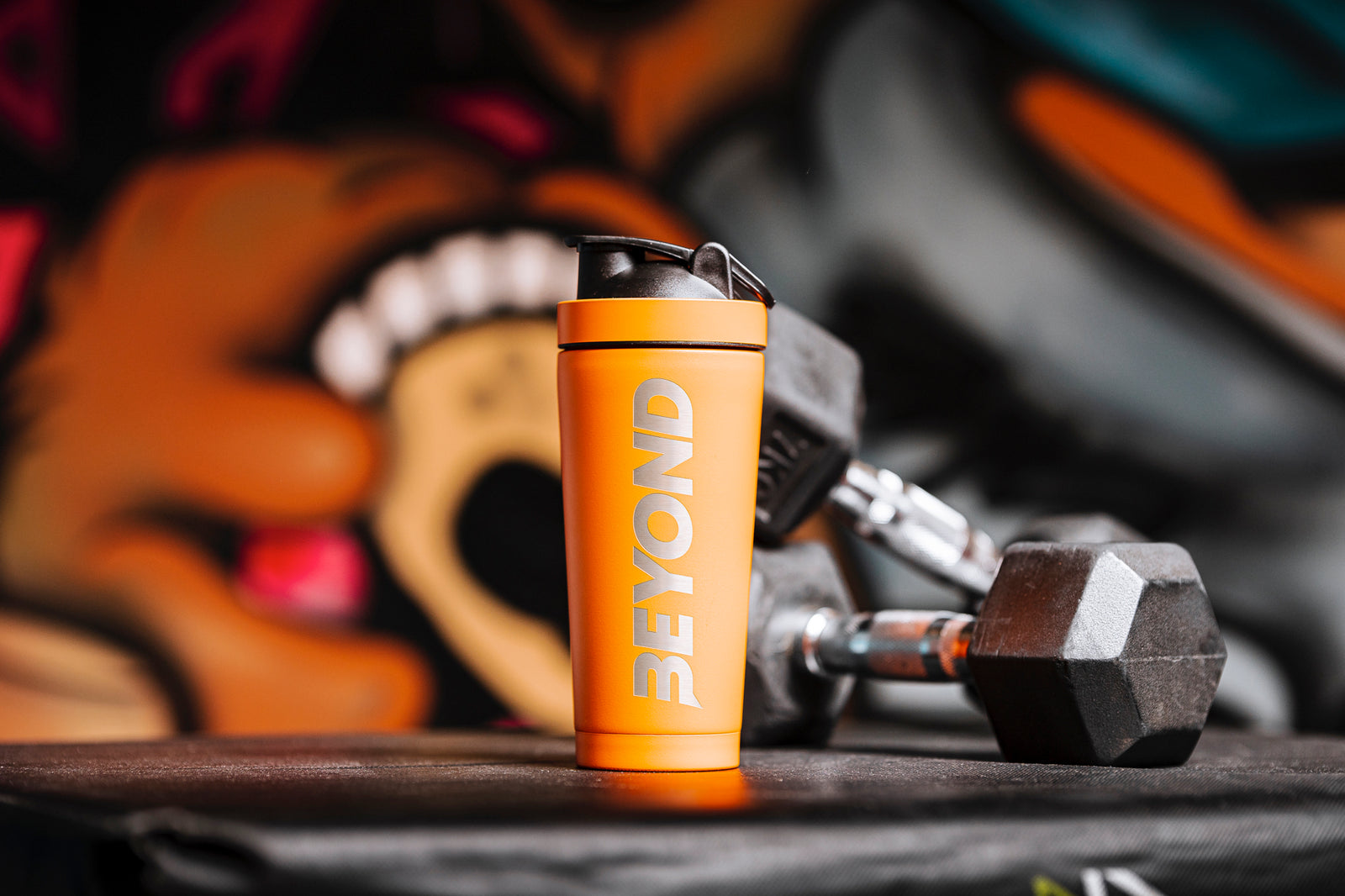 Affordable Protein Shakers: The Smart Choice for Your Health Journey