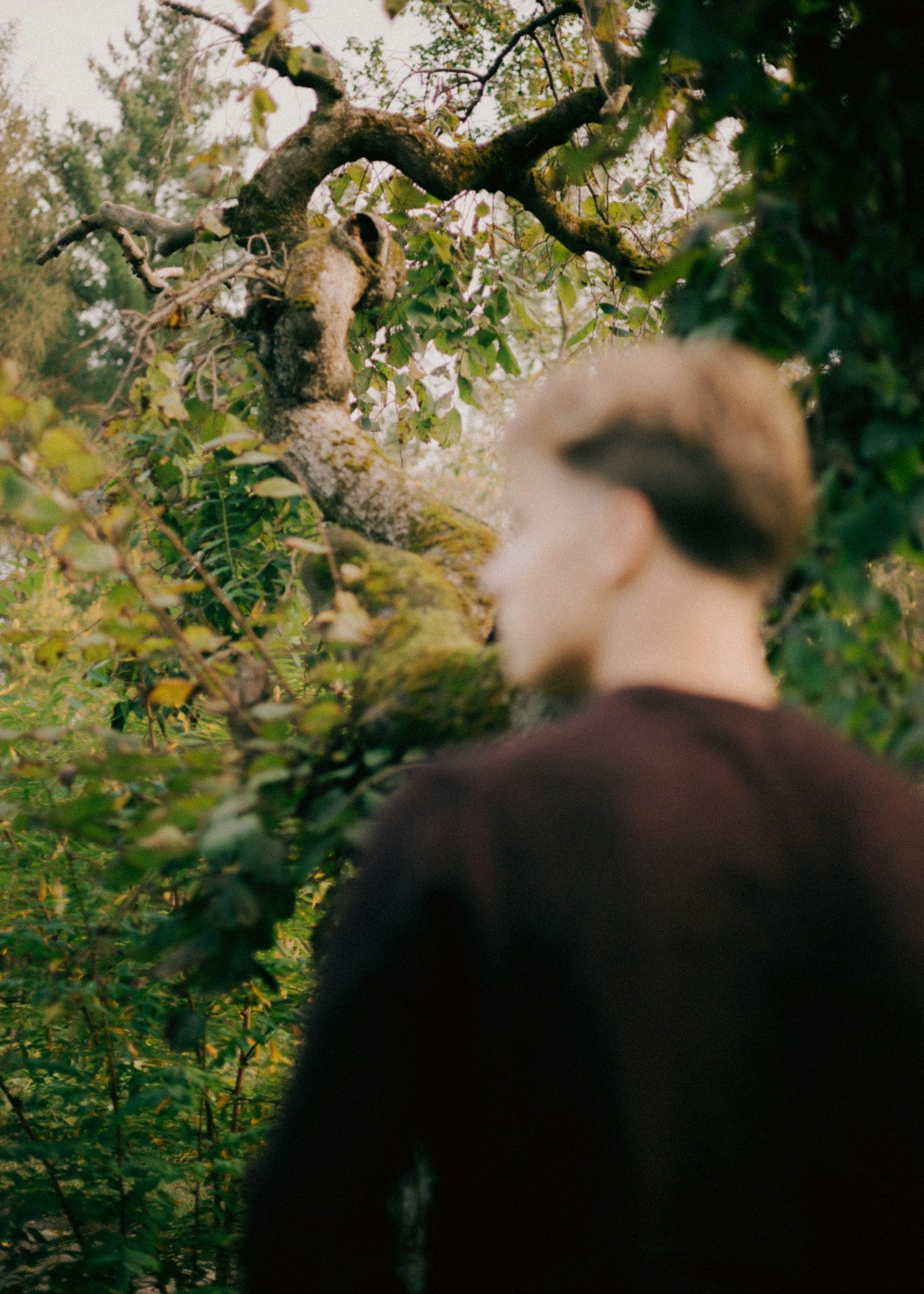 Why Double-Insulated Shakers Are Perfect for Autumn