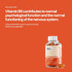 Beyond Ashwagandha Gummies – why vitamin B6